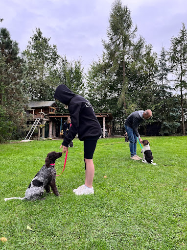 Dogolog